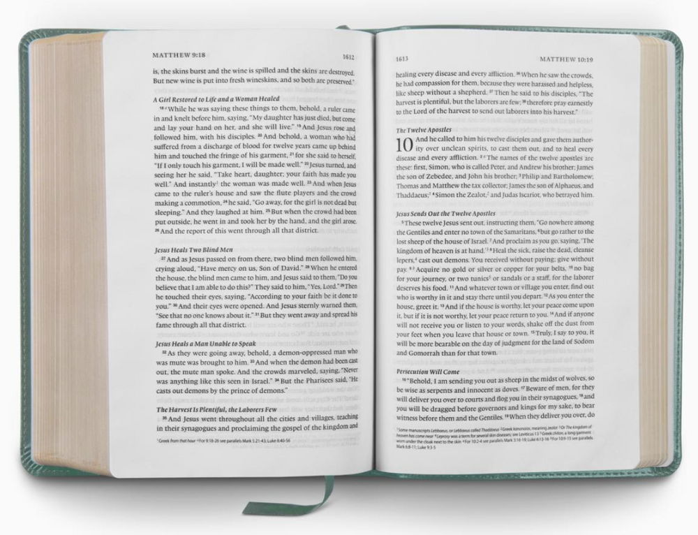 Women's ESV Single Column Bible with Custom Name Engraving - Paris Sky